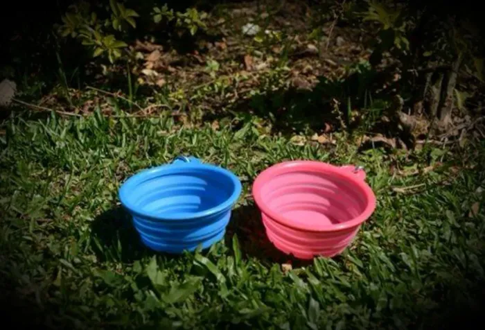 Pote de silicone dobrável