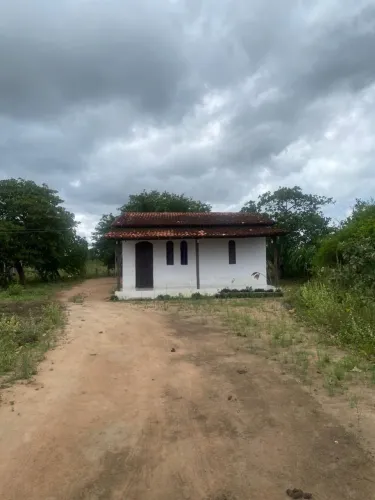 Sítio de 1 Tarefa com Casa e Pomar - Distº. Mª. Quitéria - Feira de Santana