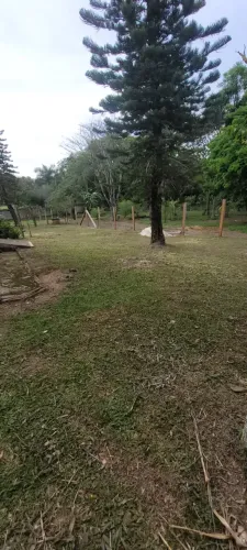 Apartamento para venda possui 1000 metros quadrados