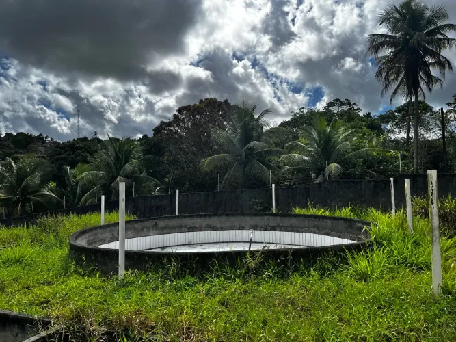 Sítio para piscicultura com nascente em Goiana-PE