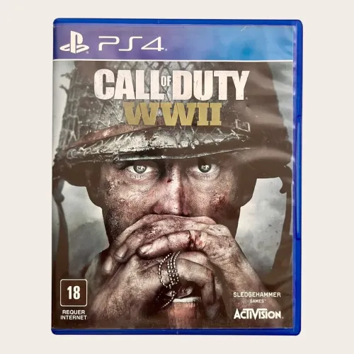 Call of Duty WW2 PS4 (Seminovo)