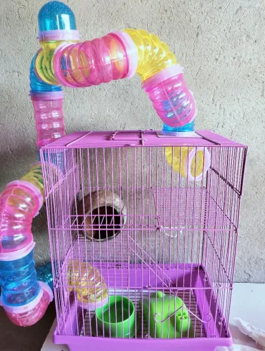 Gaiola para hamster