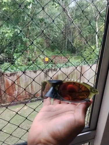 Pollaris da Oakley novo
