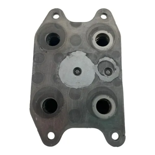 Resfriador Trocador de calor Polo tsi 2020 04e 117e021x