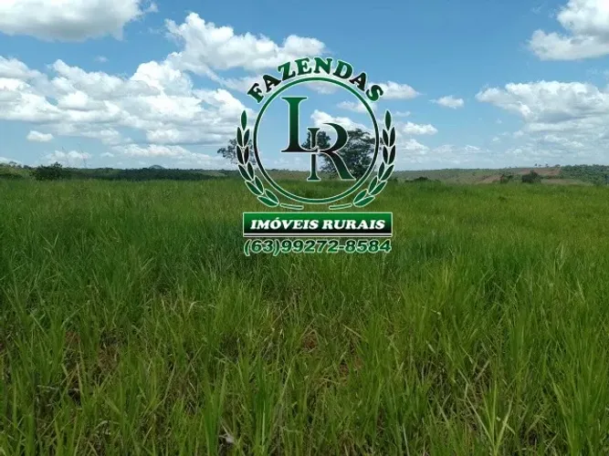 Fazenda 138 Alqueires Próximo a Palmas