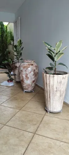 vasos de plantas