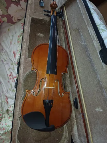 Violino