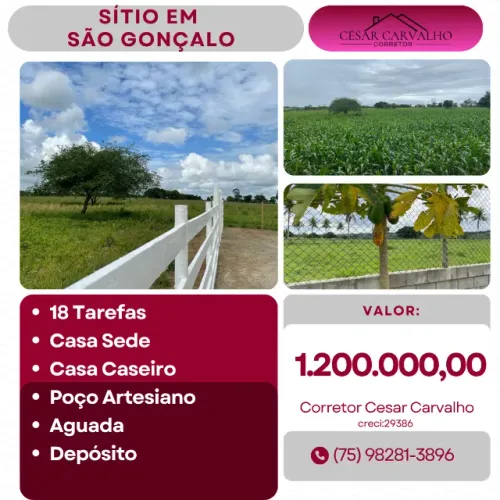 SÍTIO EM SÃO GONÇALO - 18 TAREFAS