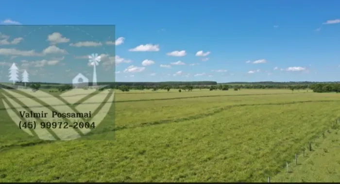 Fazenda em Amambai-Ms