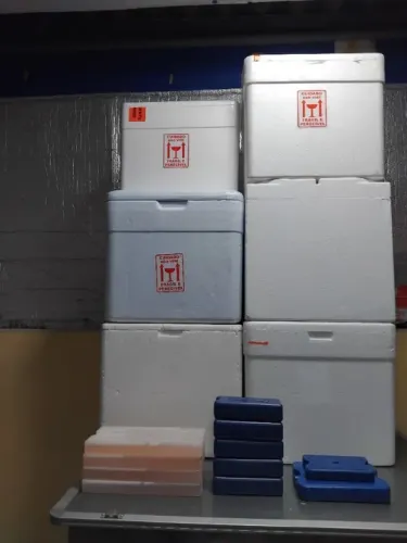 Caixa térmica de isopor bem resistente (barato pra levar)