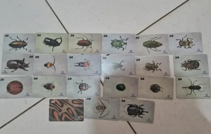 Série Insetos Completa - Cartões Telefônicos - 21 Cartões (Raridade)