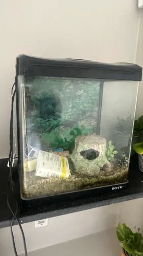 Aquario Boyu 39 Litros