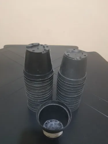 Vasos para mudas de plantas