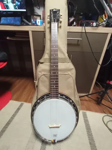 BANJO ROGUE 6 CORDAS
