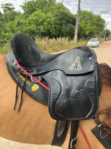 Sela Selim semi profissional 