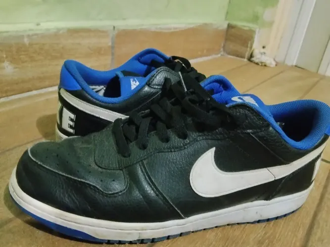 Nike big low 43