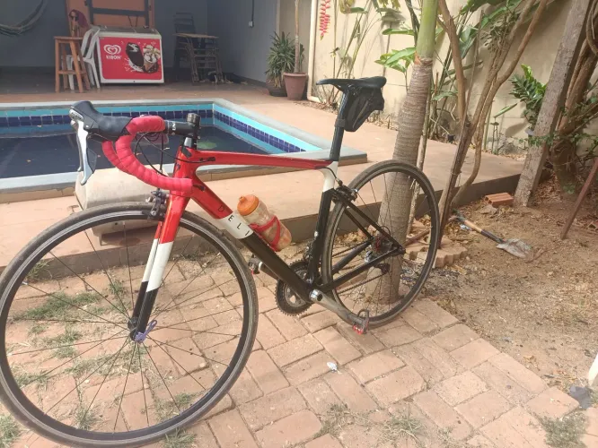 Speed carbono 52
