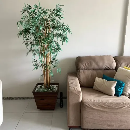 Vaso de chão com planta