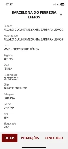 Potra Preta Registrada