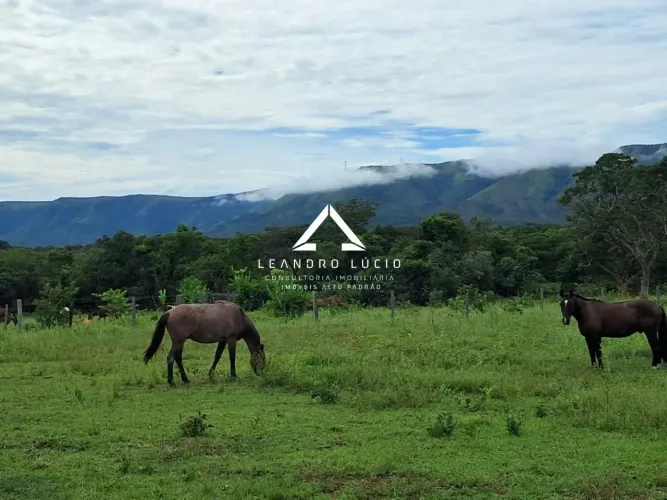 Fazenda para Venda em Flores de Goiás, Zona Rural