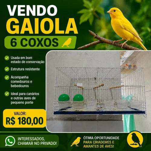 Vendo duas gaiolas 6 coxos.