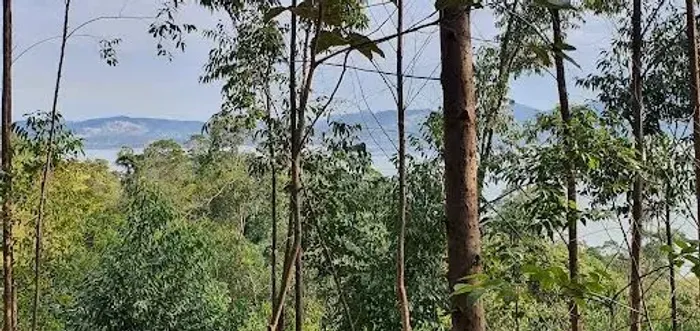 Terreno à venda, 2000 m² por R$ 180.000,00 - Ponta Grossa - Imaruí/SC