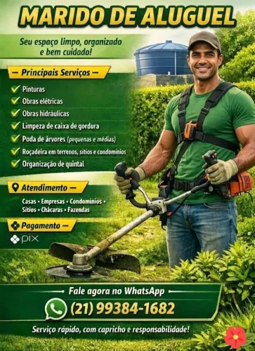 Pintor profissional 