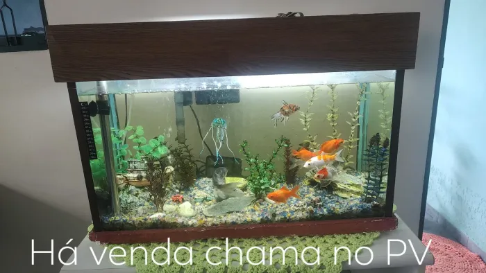 Aguario