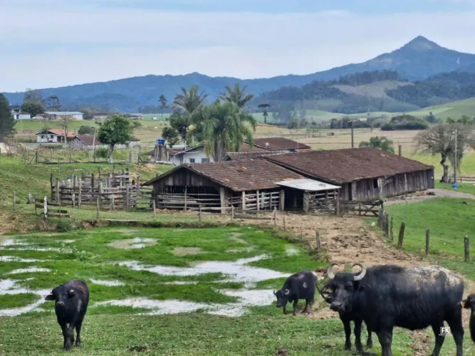 Sítio à venda em Mirim Doce - SC