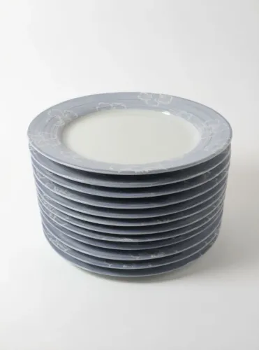 12 pratos schmidt almoço com borda decorada
