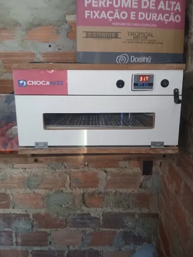Vendo essa chocadeira 3 meses de uso tá nova 70 ovos