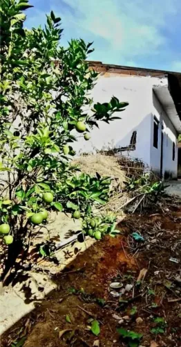 VENDO CASA COM DOCUMENTO PERTO DE ESCOLA, COMÉCIO LOTE TODO MURADO BAIRRO NEVIANA RUA 11