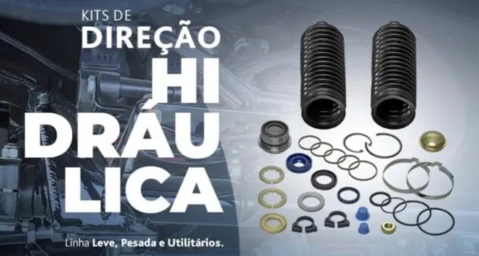 Vazamento da caixa de Direção Hidráulica do Sandero / Logan
