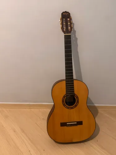 Violão Rozini