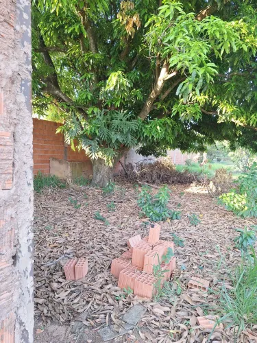 Terreno grande