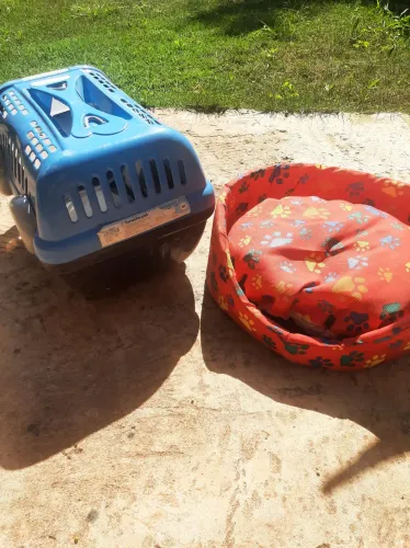 Caixa e Cama para Gato ou Cão.