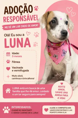 Doação responsável