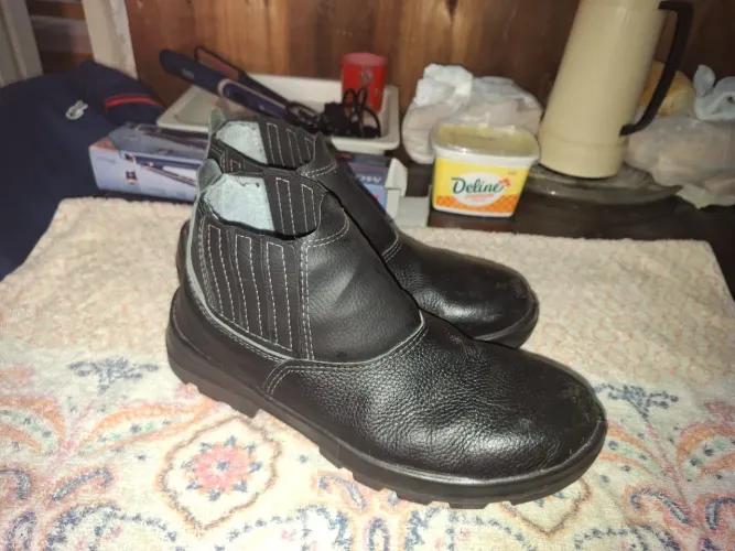 Bota