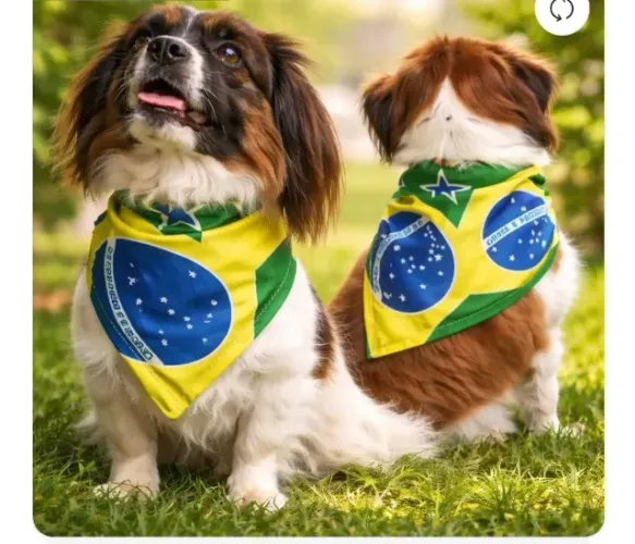 Bandana pet COPA DO MUNDO