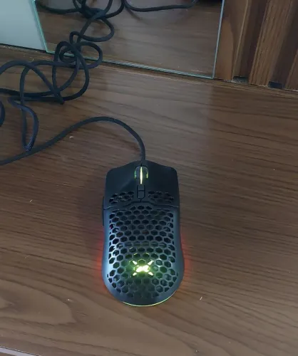 Mouse Delux M700