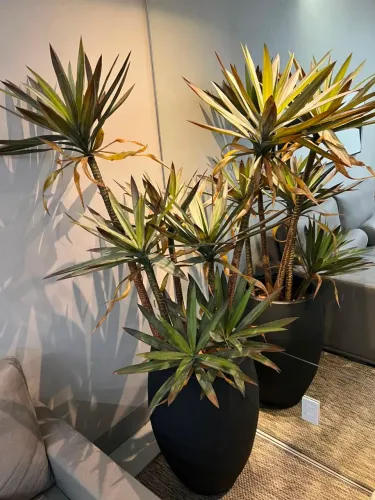 Vaso Cerâmica - Planta Yucca