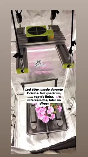 Led para cultivo 60w, armário grow!
