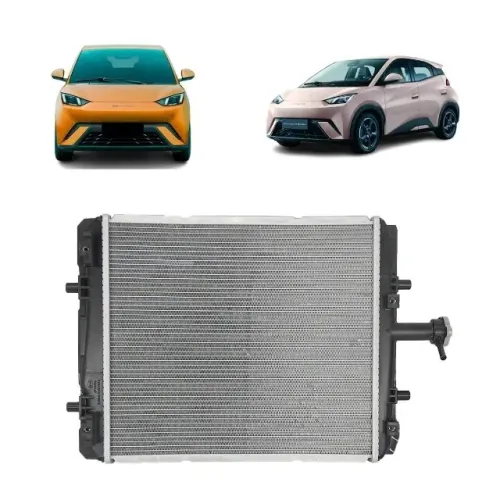 Radiador De Arrefecimento Byd Dolphin Mini 2024 2025 2026 EQEA-1301030