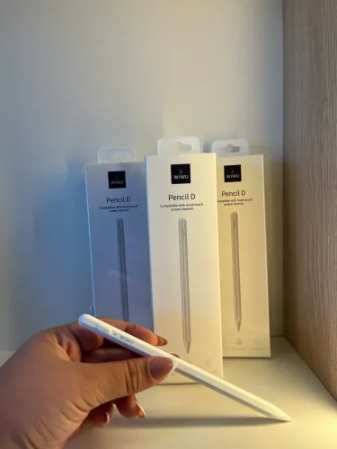 PENCIL WIWU PARA IPAD