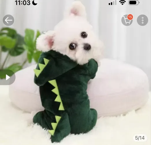 Roupa pet de dinossauro 
