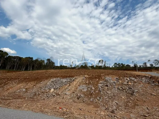 Terreno para venda, São Gotardo, Flores Da Cunha