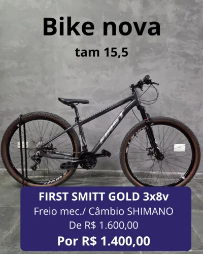 BICICLETA MTB ARO 29 FIRST SMITT GOLD 24v TAM 15,5 (P)
