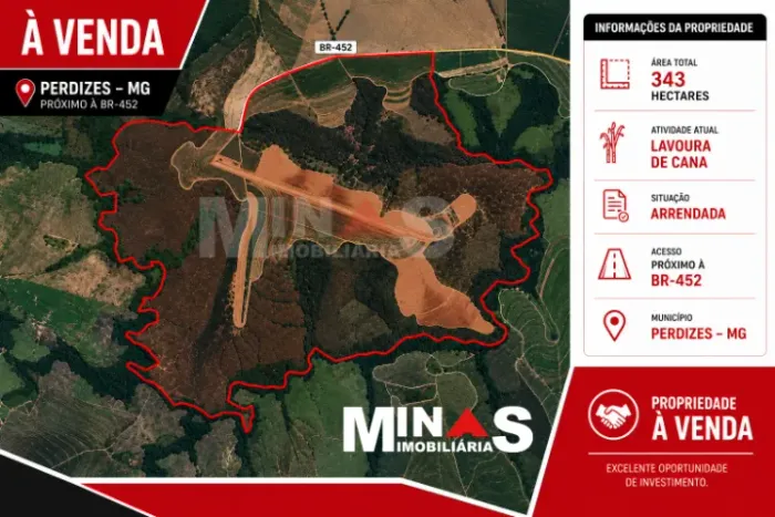 FAZENDA À VENDA | 343 HECTARES | PERDIZES/MG