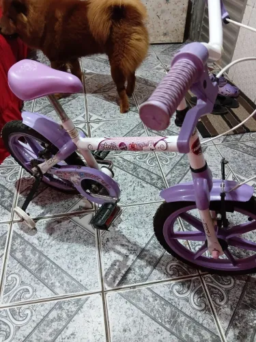 Bicicleta aro 16