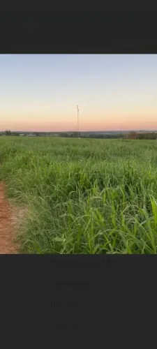 FAZENDA COM 1.015 HECTARES A VENDA EM MIRANDA-MS